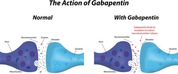 How Long Does Gabapentin Withdrawal Symptoms Last