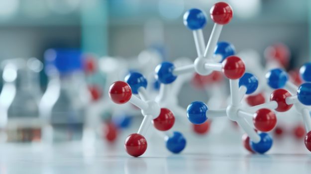 Agonist vs Antagonist Drugs: Understanding Their Roles in Pharmacology